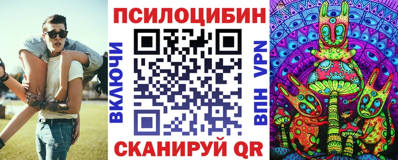 Купить где  Урень  Галлюциногенные грибы Psilocybine cubensis 